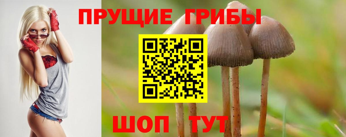 как найти наркотики  Галлюциногенные грибы ЛСД  Вход с VPN  Лабинск 