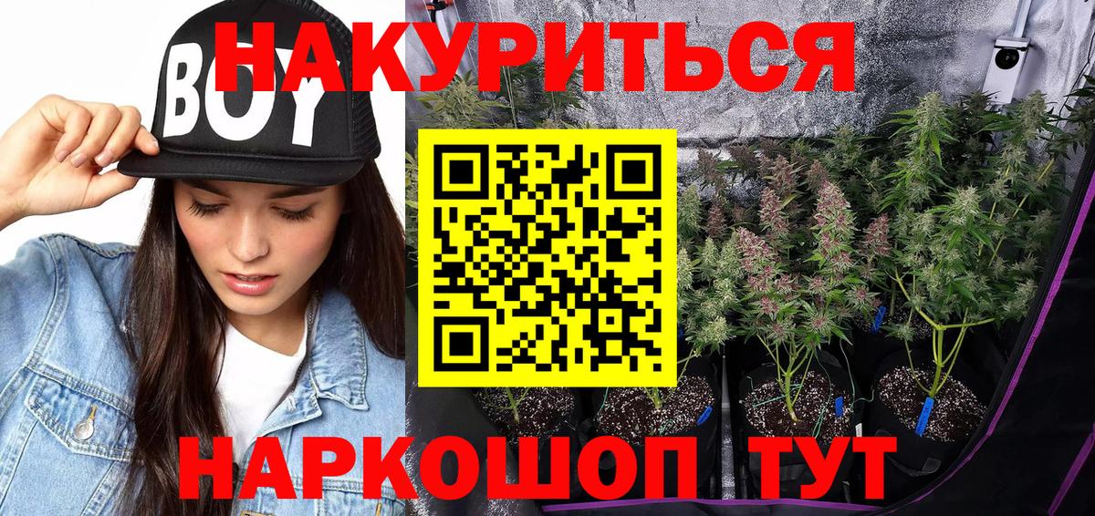 Конопля сатива Лабинск